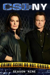CSI: Nueva York – Temporada 9 (2012) Serie HD Latino – Ingles [WEB-DL] [1080p]