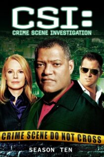 CSI: Las Vegas – Temporada 10 (2009) Serie HD Latino – Ingles [WEB-DL] [1080p]