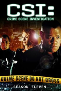 CSI: Las Vegas – Temporada 11 (2010) Serie HD Latino – Ingles [WEB-DL] [1080p]