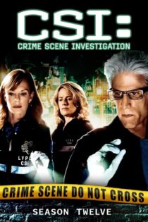 CSI: Las Vegas – Temporada 12 (2011) Serie HD Latino – Ingles [WEB-DL] [1080p]