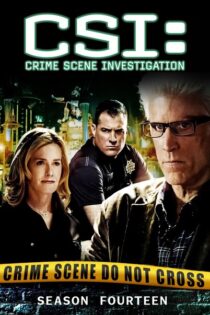 CSI: Las Vegas – Temporada 14 (2013) Serie HD Latino – Ingles [WEB-DL] [1080p]