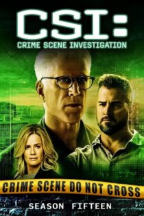 CSI: Las Vegas – Temporada 15 (2014) Serie HD Latino – Ingles [WEB-DL] [1080p]