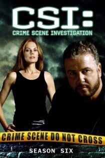 CSI: Las Vegas – Temporada 6 (2005) Serie HD Latino – Ingles [WEB-DL] [1080p]