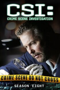 CSI: Las Vegas – Temporada 8 (2007) Serie HD Latino – Ingles [WEB-DL] [1080p]