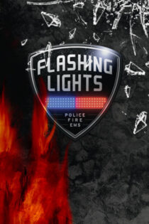 Flashing Lights – Police, Firefighting, EMS Simulator (2023) PC Full Español [ISO]